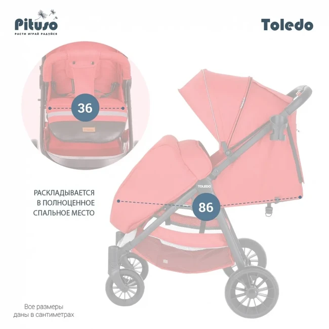 Детская прогулочная коляска Pituso Toledo Red Красный Колеса EVA S1