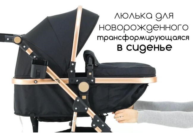 Детская коляска Lorelli Alba Classic 2 в 1 Black 2021