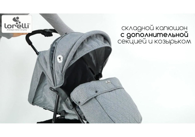 Детская прогулочная коляска Lorelli Daisy Black Cameo Rose 2021