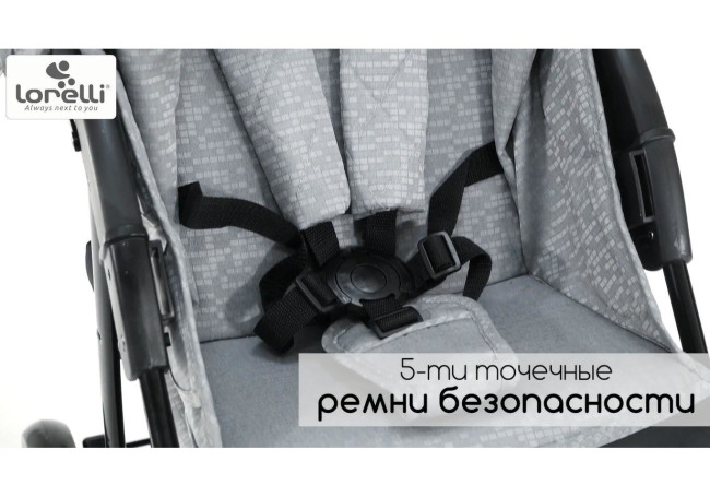Детская прогулочная коляска Lorelli Daisy Black 2021
