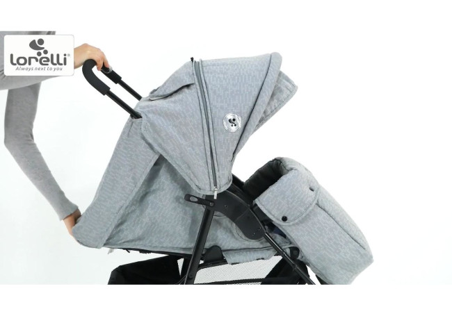 Детская прогулочная коляска Lorelli Daisy Basic Cool Grey 2021