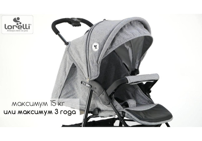 Детская прогулочная коляска Lorelli Daisy Black Cameo Rose 2021