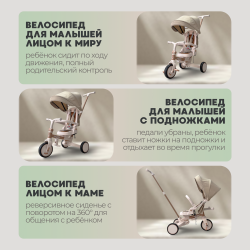 Велосипед трехколесный Bubago Malanka Коричневый BG 211-2  - фото2